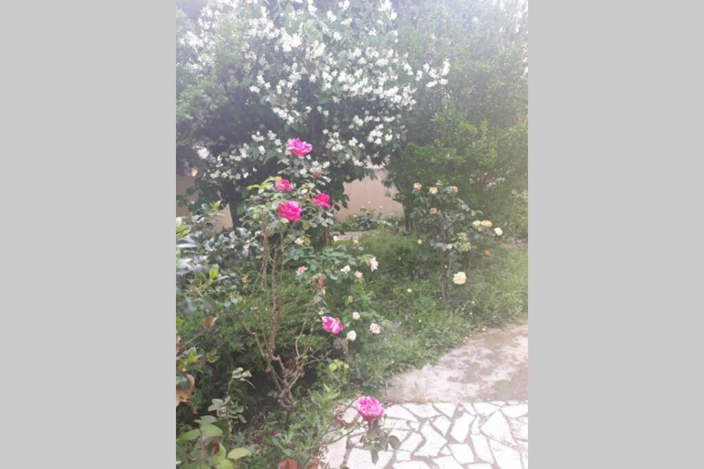 Villa 3 Etoiles Pres Des Plages, Parking, Wifi, Clim Sauvian ภายนอก รูปภาพ